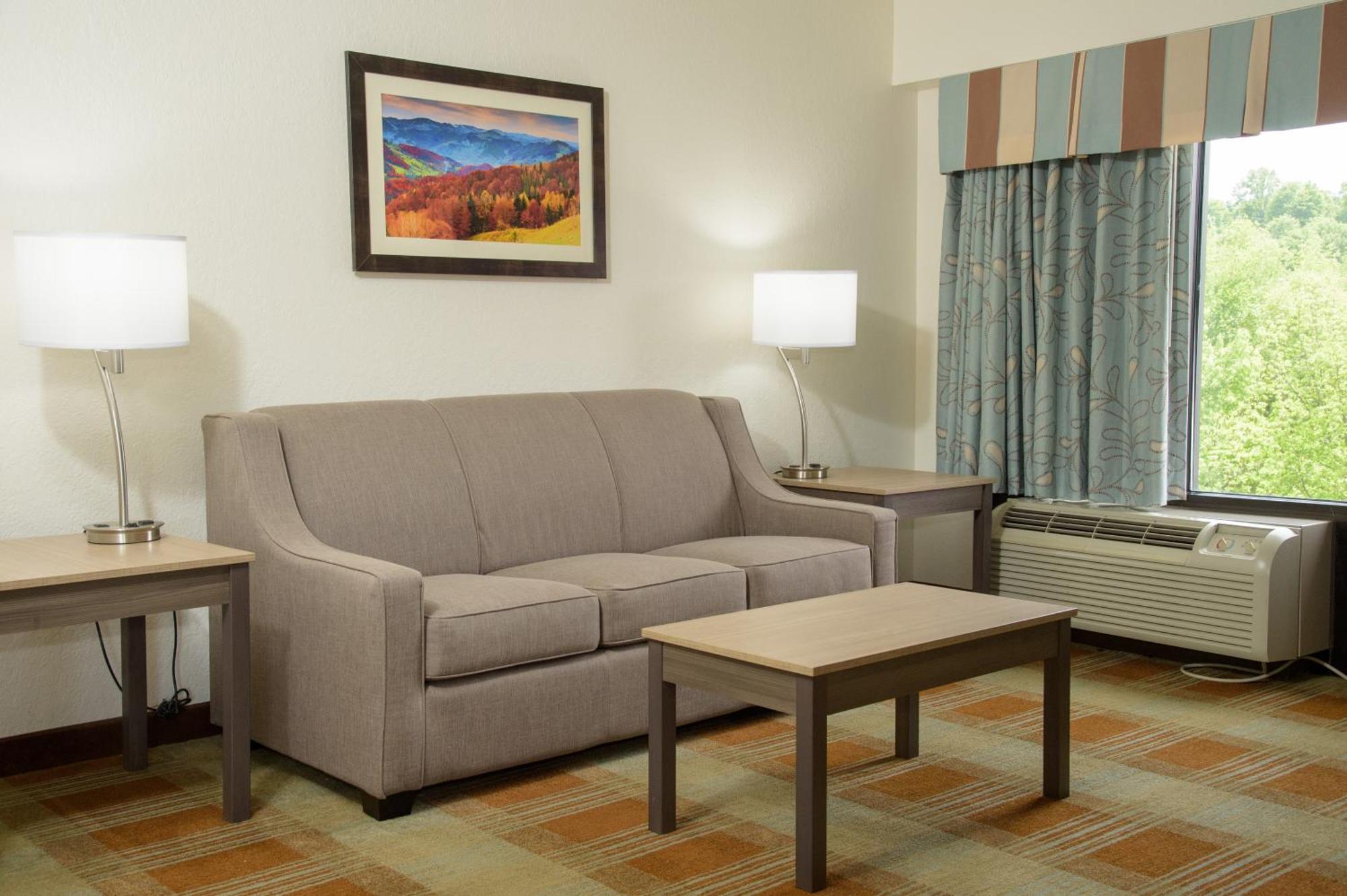 Pigeon River Inn Pigeon Forge Rum bild